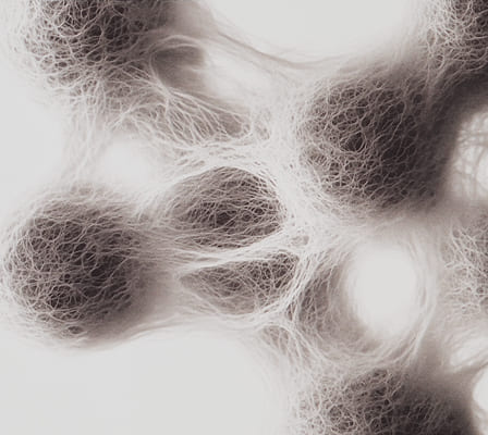 Toxic PFAS additive